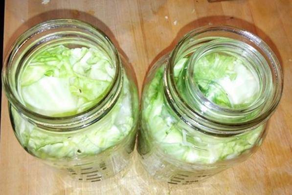 Как хранить капусту кольраби на зиму и когда её нужно убирать