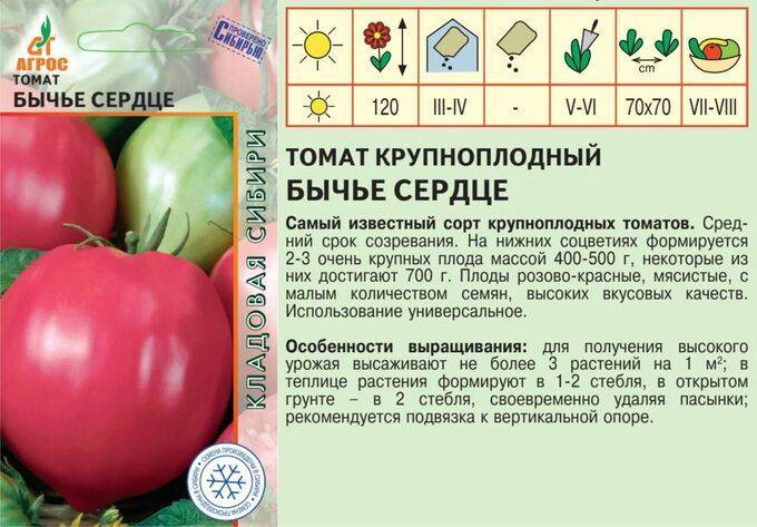 Томат гамаюн f1: характеристика и описание сорта, отзывы об урожайности помидоров, фото семян