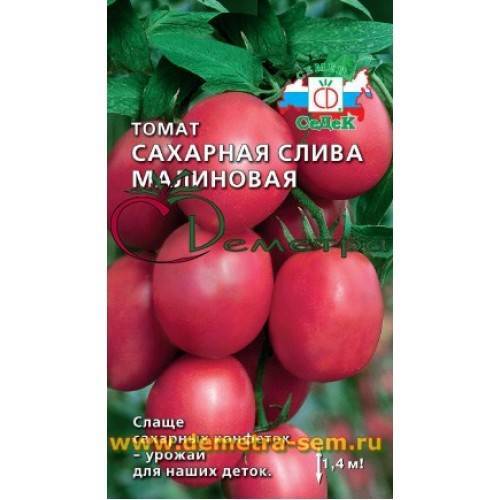 Слива красный шар: описание и характеристика сорта, достоинства и недостатки, особенности посадки и ухода + фото и отзывы