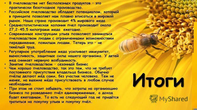 Закон о пчеловодстве
