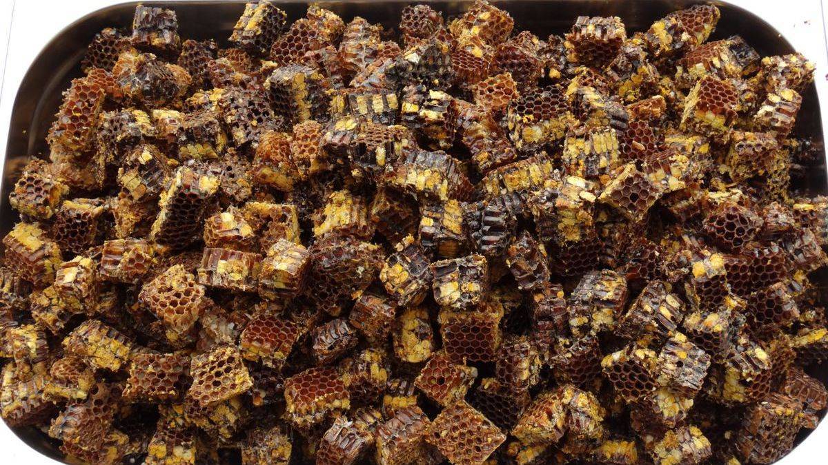 Перга пчелиная полезные свойства