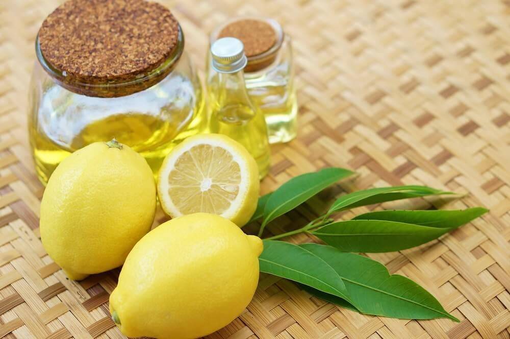 Рецепт эликсира молодости: мед, лимон, оливковое масло