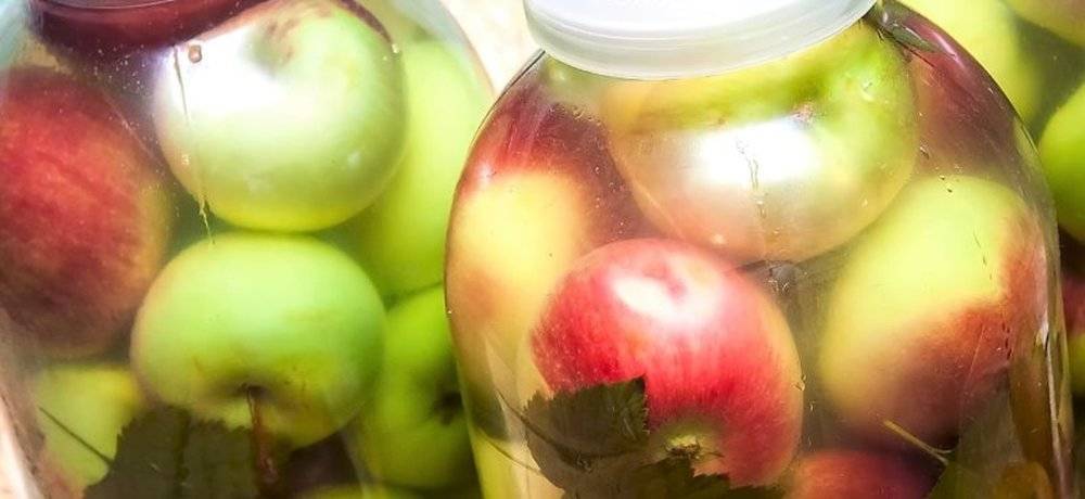 Моченые яблоки: 20 оригинальных рецептов. фото, видео