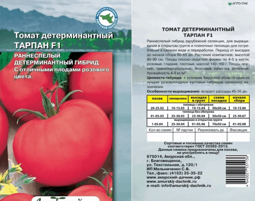 Помидоры амурские зори: описание сорта томата, отзывы о семенах, характеристики и урожайность