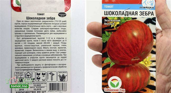Ранний, крепкий, выносливый: сорт томата «полбиг» по описанию селекционеров и опыту садоводов