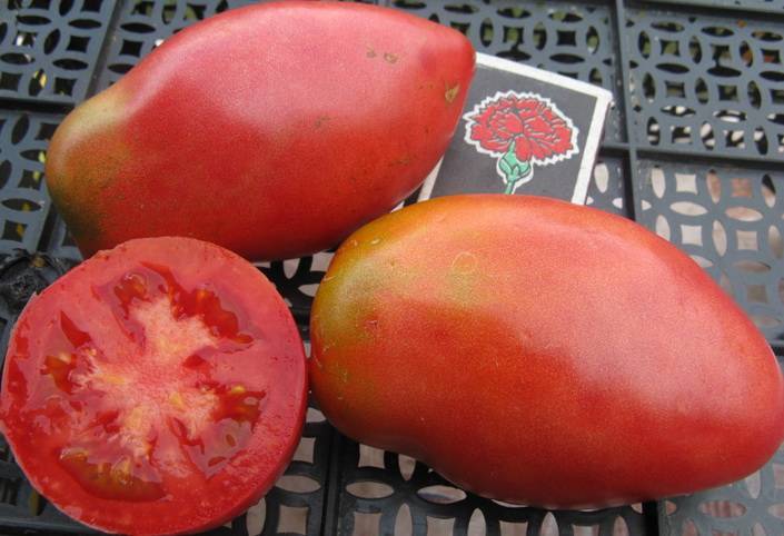 ᐉ томат солоха отзывы фото кто сажал - zooshop-76.ru