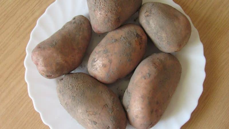 Описание сорта картофеля славянка