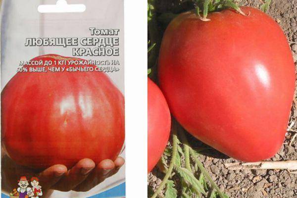Характеристики и описание сорта томат «любящее сердце красное». отзывы садоводов