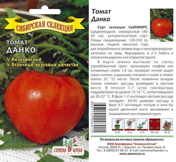 Данко томат: характеристика и описание сорта, особенности выращивания и ухода помидоров