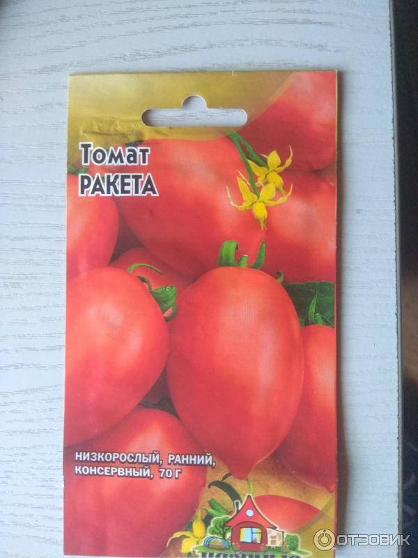 Как посадить и вырастить томат «летний сад» -