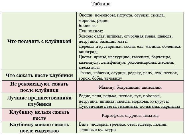 После каких овощных культур сажают клубнику