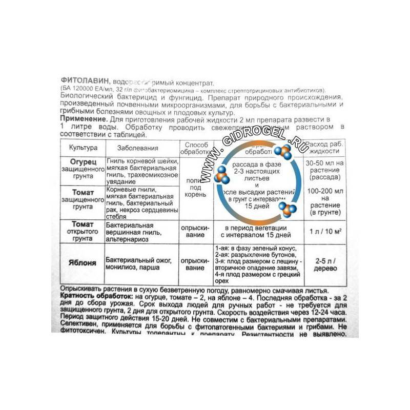 Фунгицид фитолавин: описание, свойства, применение для растений, отзывы