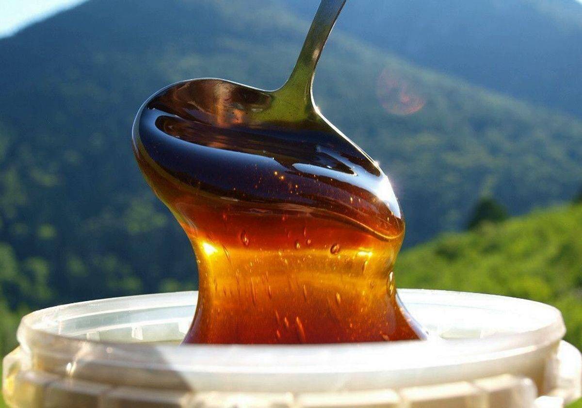 Томат алтайский мед: отзывы, описание и урожайность