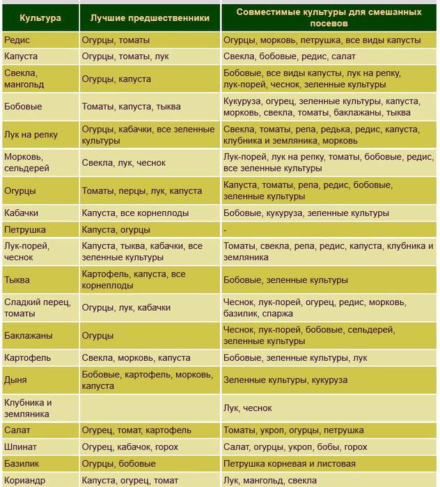 Соседство овощей на грядках: таблица совместимости растений