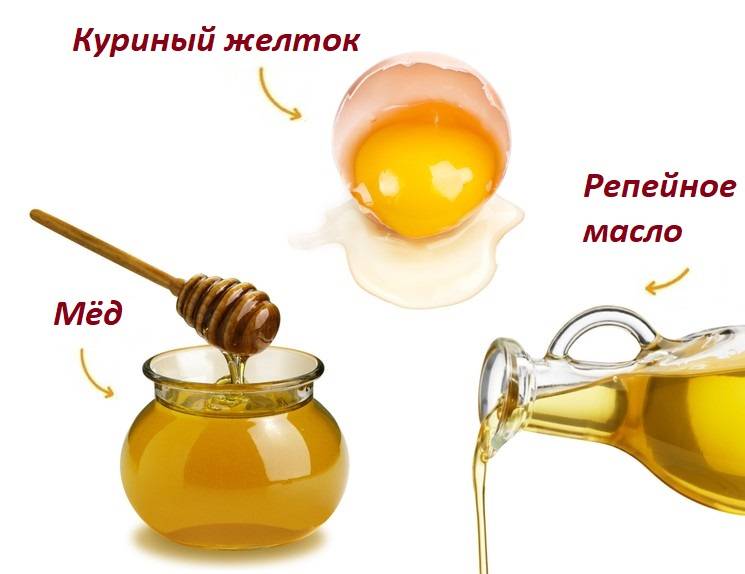 Как сделать маску для волос с медом и яйцом