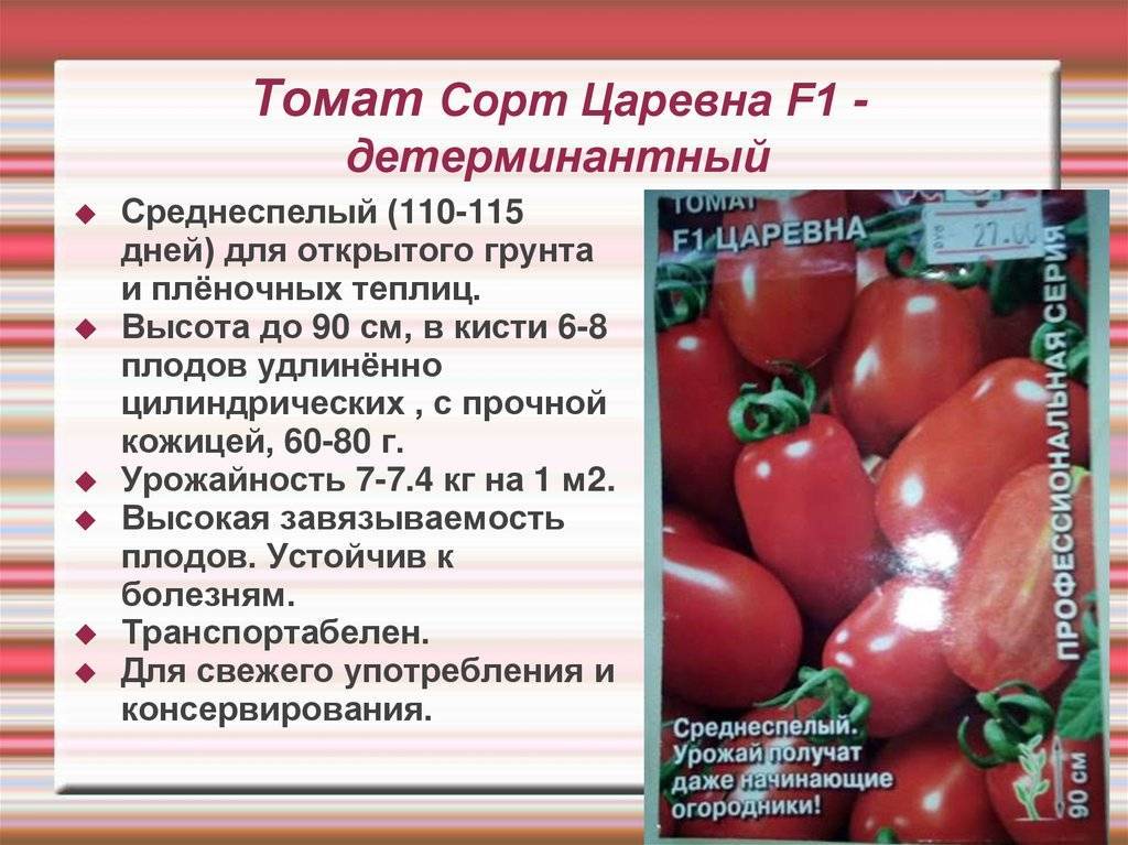 Индетерминантные и детерминантные сорта томатов: в чем отличие | садоводство и огородничество