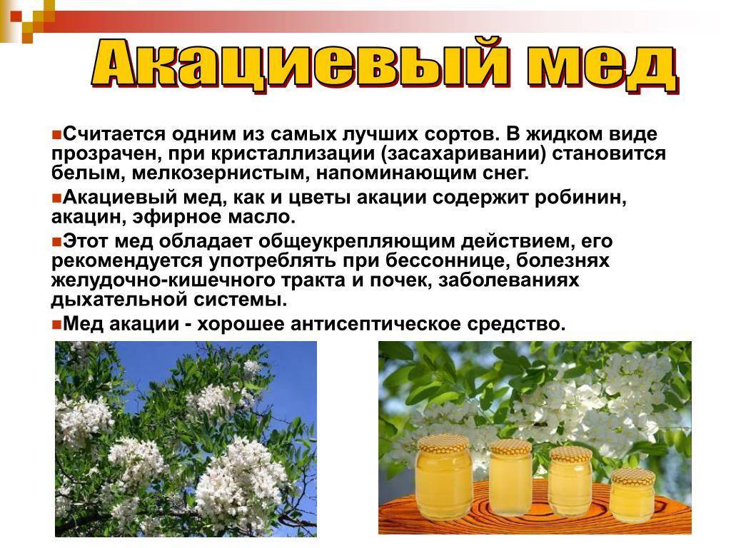 Использование цветочного меда и его полезные свойства