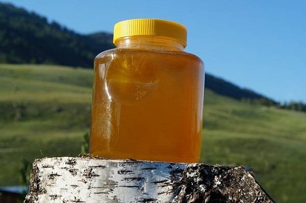 Горный мед: описание и состав, полезные свойства и противопоказания