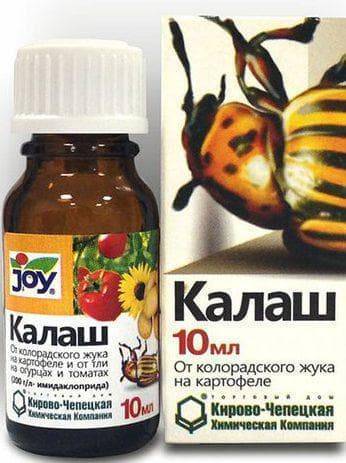 16 лучших средств от колорадского жука - обзор наиболее эффективных препаратов