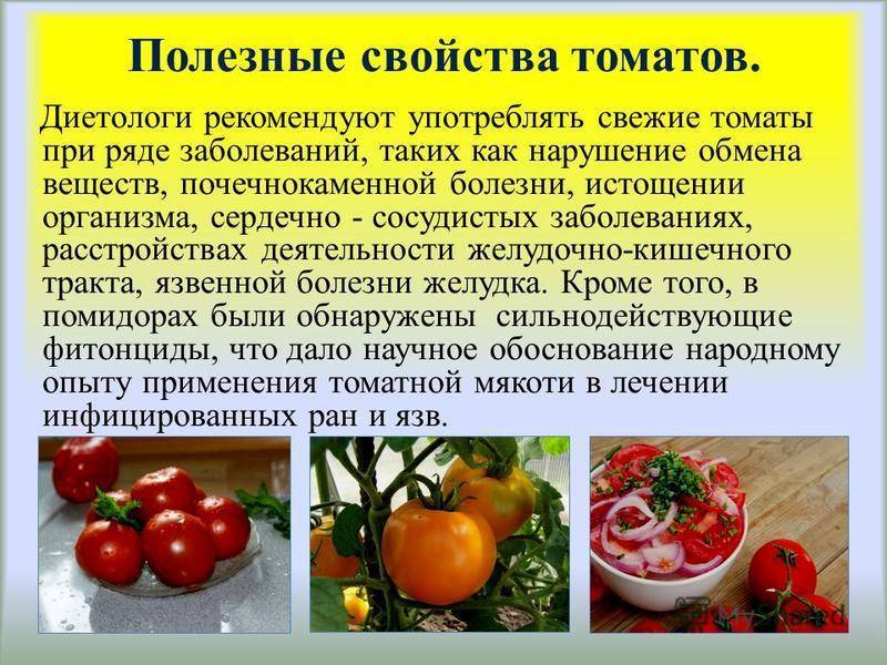 Чем полезны помидоры? польза и вред