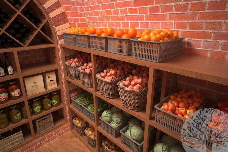 Как хранить овощи в домашних условиях - подбор места и температуры