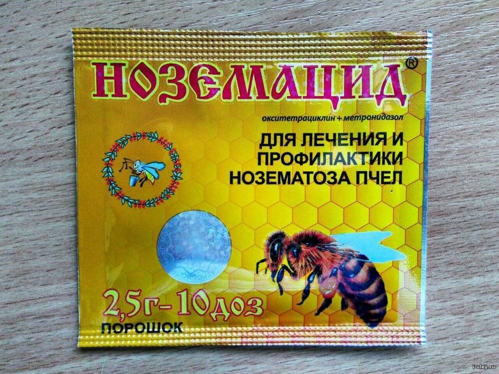 Лечение пчел от паразитов — что делать?