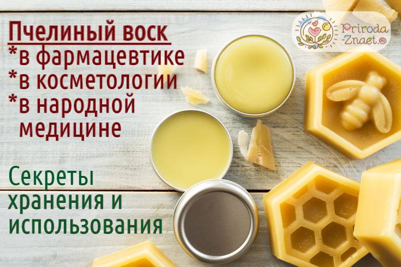 Пчелиный воск: польза и вред, лечение и применение в домашних условиях