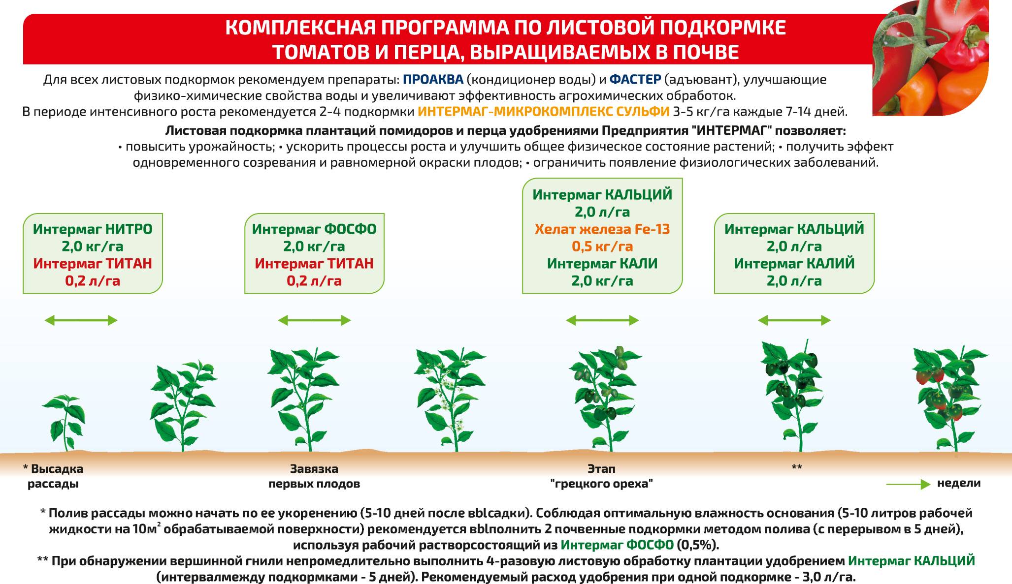 Правила подкормки огурцов в теплице: сроки и удобрения русский фермер