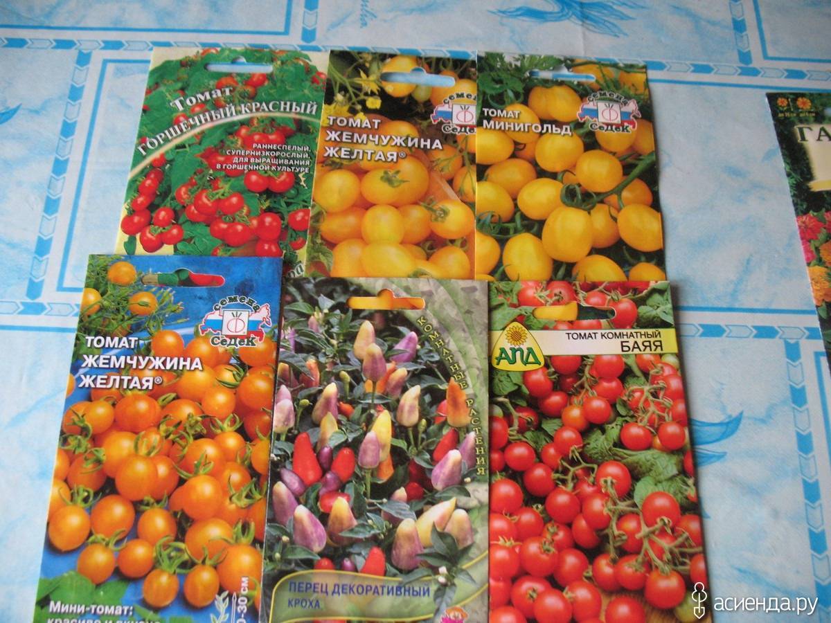 Выращивание томатов в открытом грунте сибири: сорта,сроки