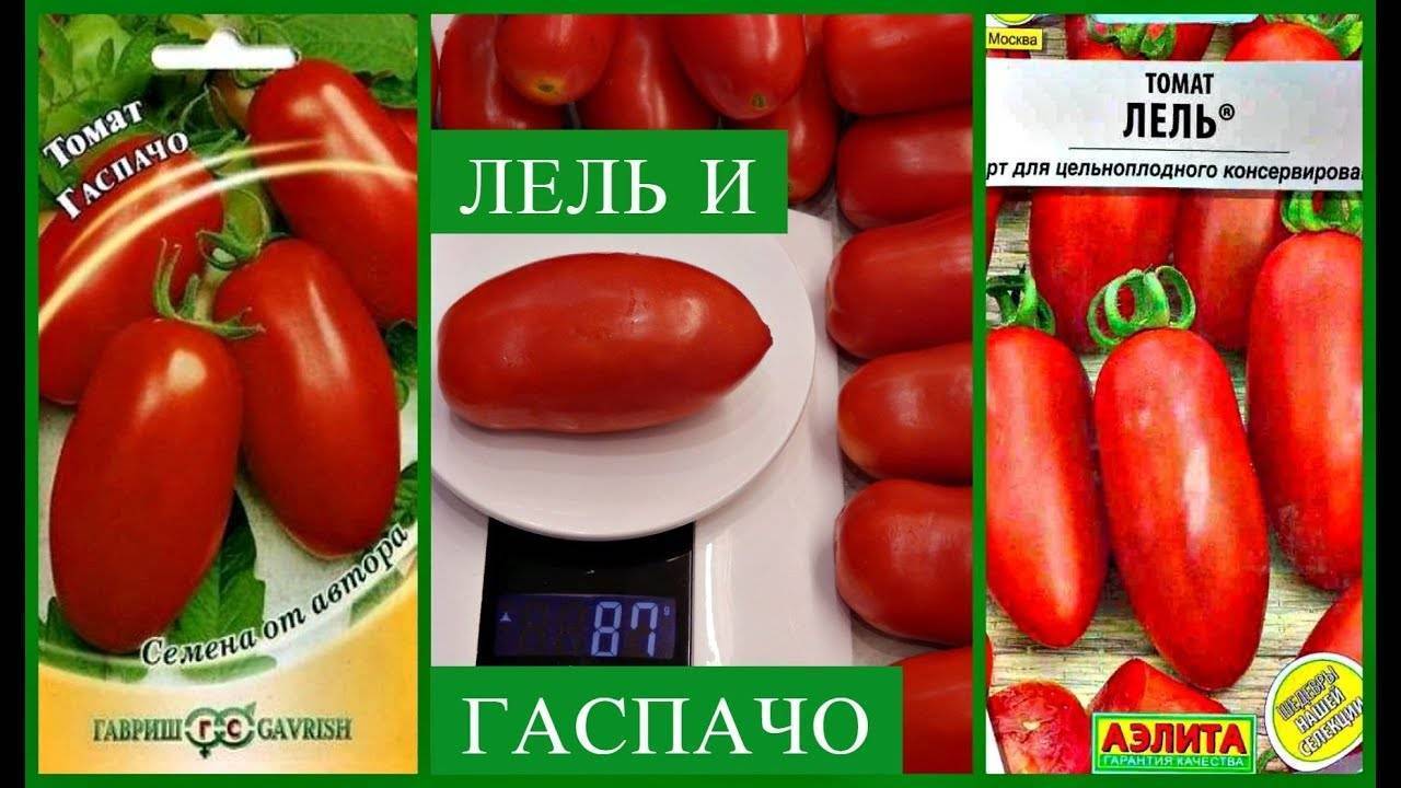 Томат лель: характеристика и описание сорта, урожайность помидора, высота куста, отзывы тех, кто сажал с фото и видео