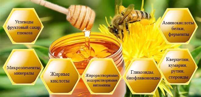 Сафлоровый мёд: описание, состав, полезные свойства и противопоказания