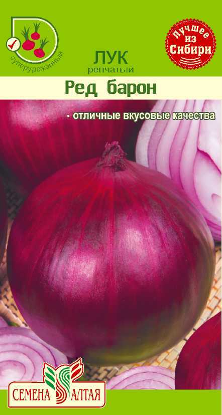 Лук ред барон: описание сорта, посадка и уход, выращивание из семян