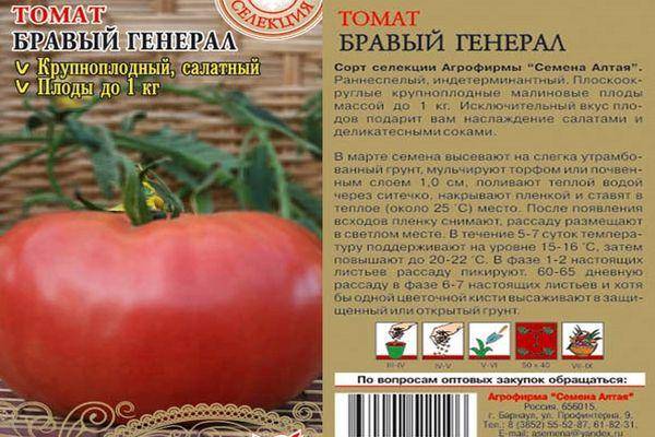 Томат бравый генерал: характеристика и описание сорта, отзывы тех кто сажал помидоры об их урожайности и фото растения