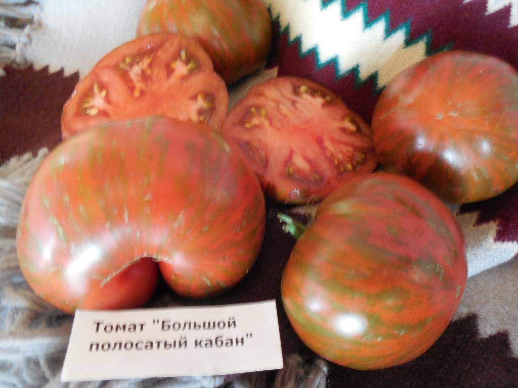 Томаты | сорта полосатых томатов