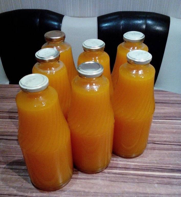 Тыквенный сок на зиму в домашних условиях - 8 рецептов очень вкусного сока из тыквы
