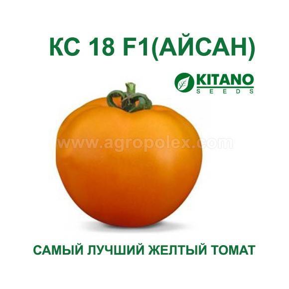 Низкорослые томаты - лучшие сорта с фото и названиями (каталог)