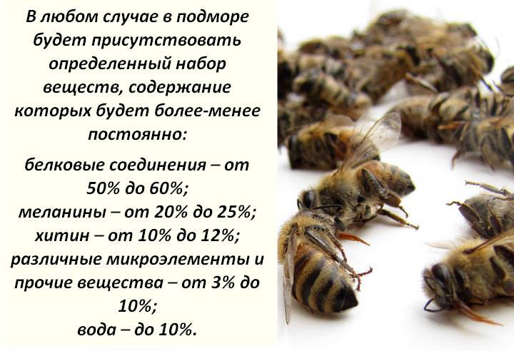 Пчелиный подмор: что это, лечебные свойства, польза и вред, отзывы