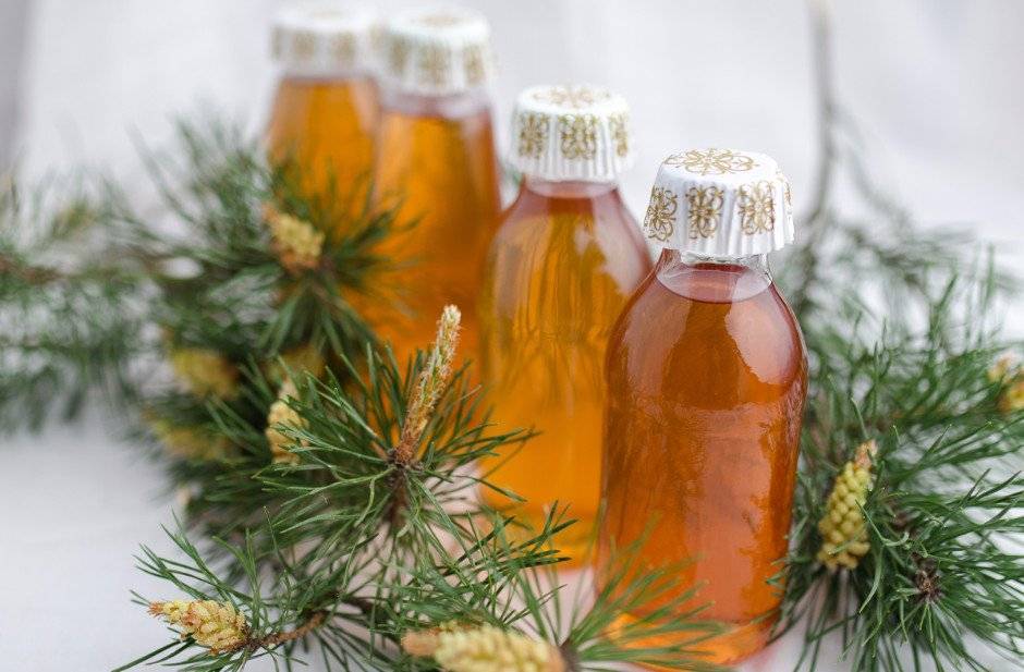 Cосновый мед: полезные свойства, состав, рецепты приготовления