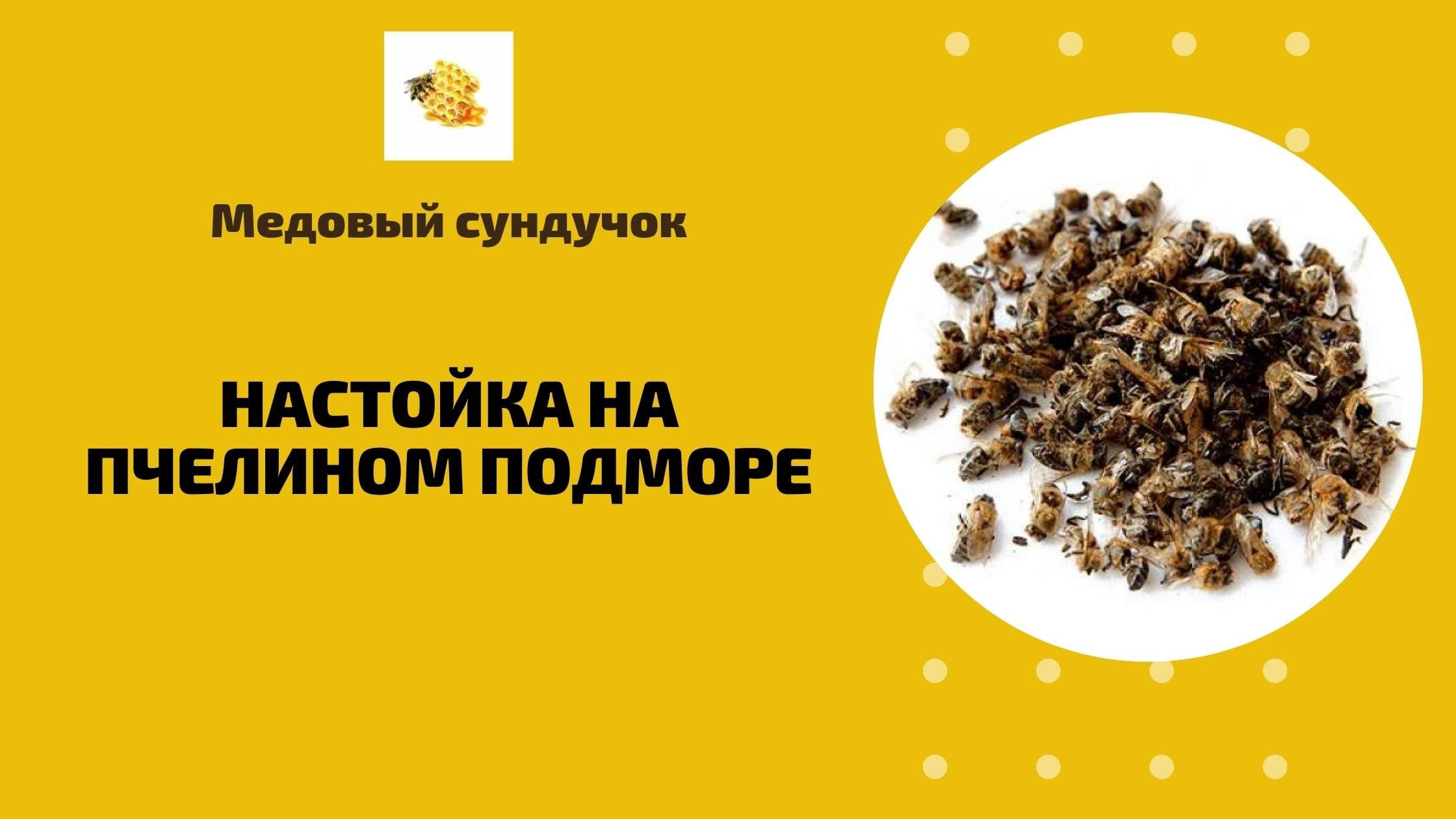 Подмор пчелиный применение для мужчин (лечение аденомы простаты)