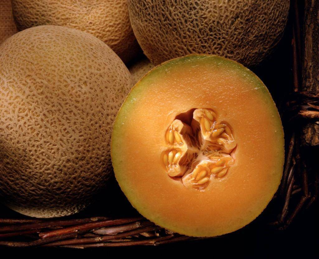 Мускусная дыня, или канталупа — удивительные сорта с оранжевой мякотью