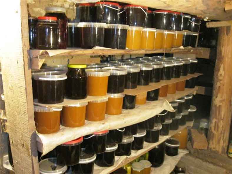 Как хранить мед в сотах в домашних условиях