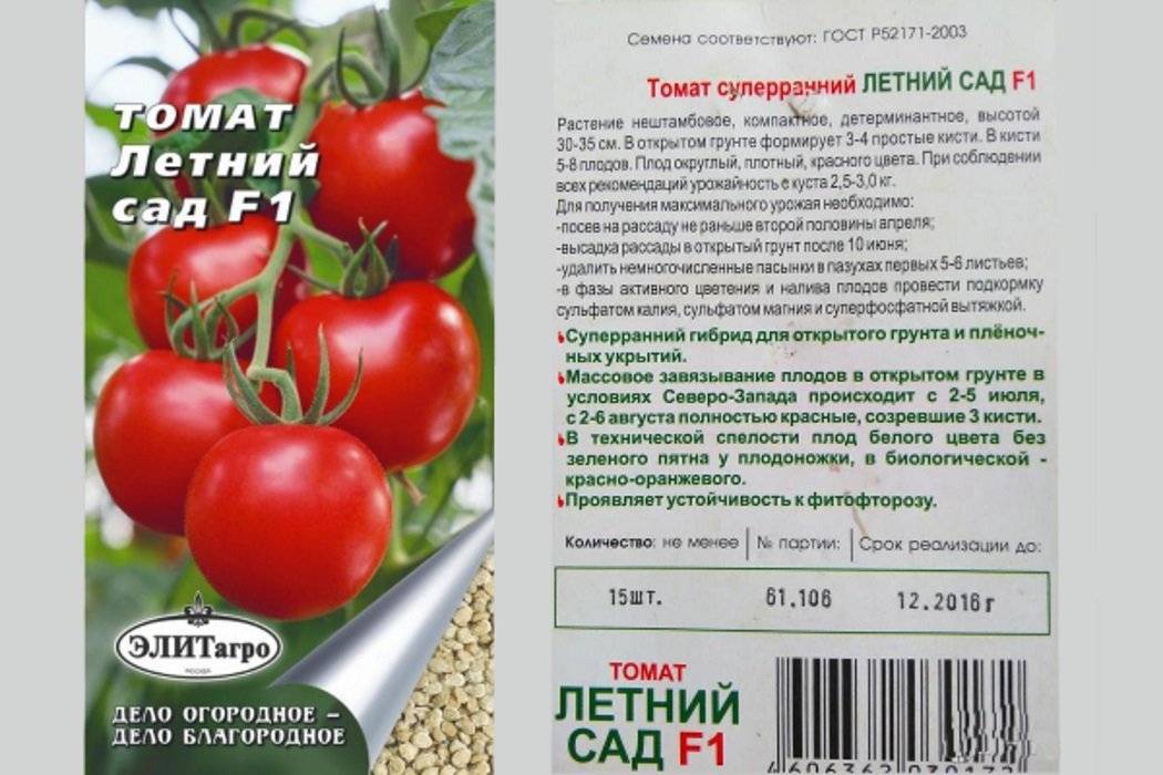 Снеговик f1: универсальный томат для огорода и теплицы. описание гибрида и рекомендации