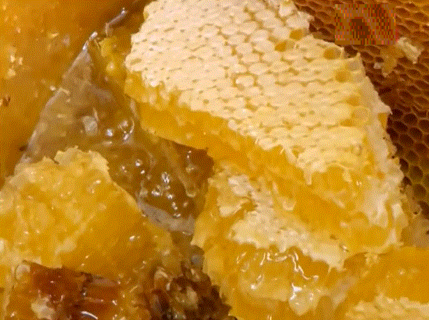Бортевой мед: что это такое, мед диких пчел и его полезные свойства полезные свойства, как отличить от подделки, цена