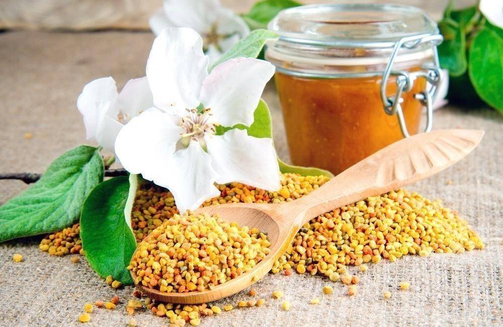 Пчелиная пыльца свойства и применение | ларек с мёдом