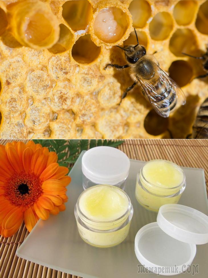 Мёд с маточным молочком: полезные свойства и противопоказания, особенности употребления, фото