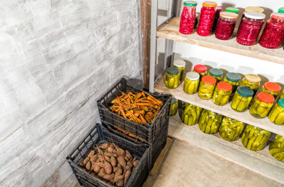 Хранение овощей на балконе зимой в термоящике и другие способы сохранить урожай