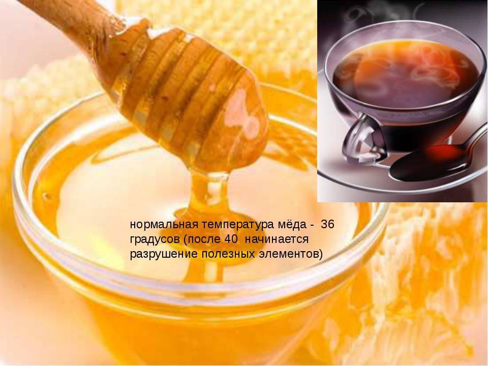 Мед при температуре: когда можно и нельзя, рецепты