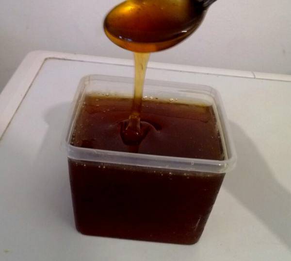 Чем полезен каштановый мед и засахаривается ли он, как определить подделку