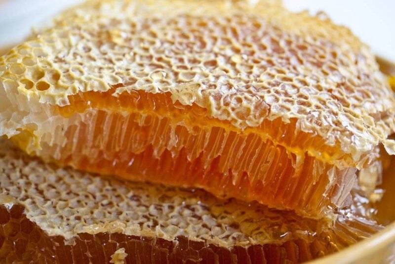Воск в сотах: польза пчелиного воска из сот