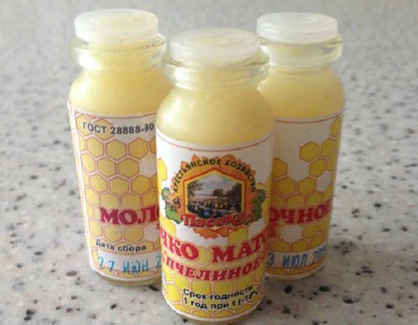 Пчелиное маточное молочко: лечебные свойства, как принимать, хранить? | пчелиное маточное молочко | пчеловод.ком